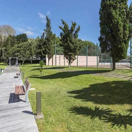 Azores - Pico Do Salomao Poolside Retreat Ponta Delgada